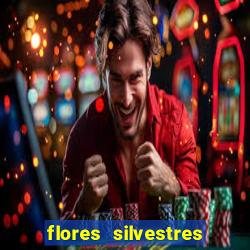 flores silvestres desbravadores desbravadores 25